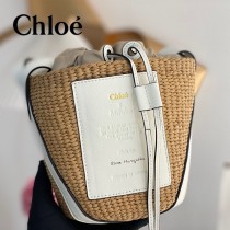 Chloe 2022爆款潛力股新款限定菜籃子