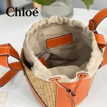 Chloe 2022爆款潛力股新款限定菜籃子