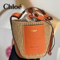 Chloe 2022爆款潛力股新款限定菜籃子