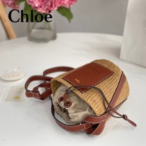 Chloe 2022爆款潛力股新款限定菜籃子