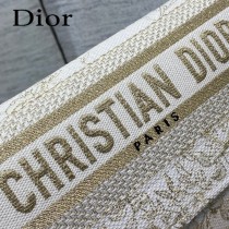 DIOR 迪奧專櫃爆款小號郵差包