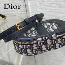 DIOR迪奧 Signature 橢圓相機包