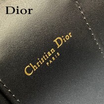 DIOR 迪奧Signature Vanity小號化妝盒