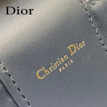 DIOR 迪奧Signature Vanity小號化妝盒