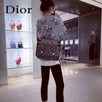 DIOR 迪奧专柜爆款邮差包