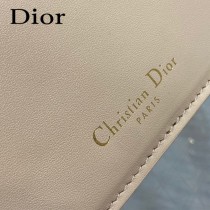 DIOR 迪奧最新款豬鼻子Signature繫列郵差包