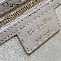 DIOR 迪奧最新款豬鼻子Signature繫列郵差包